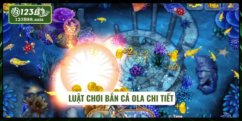 Nguyên tắc săn cá Ola chuẩn luật quốc tế
