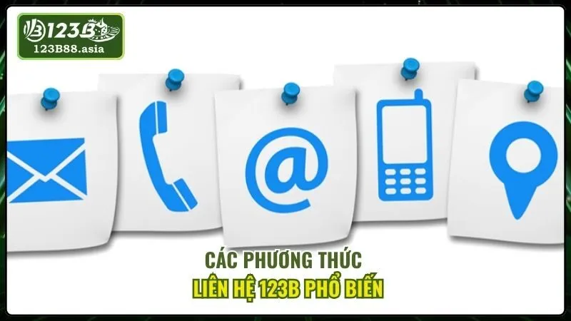 Các Phương Thức Liên Hệ 123b Phổ Biến