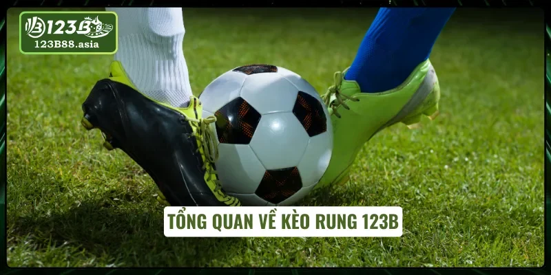 Tổng quan về kèo rung 123B
