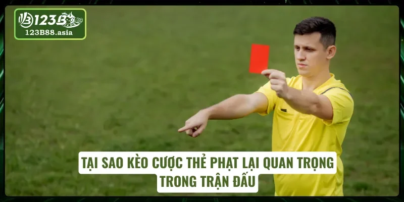 Tại sao kèo thẻ phạt luôn thu hút giới cược thủ